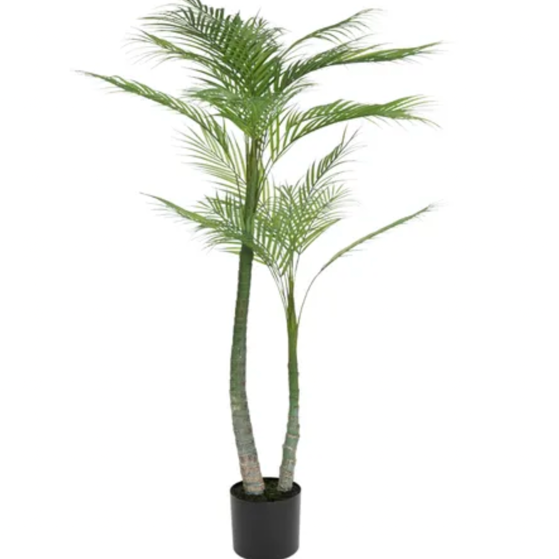 PALM TREE 114CM IN BLACK POT 15X13CM - Daisy Grace Lifestyle