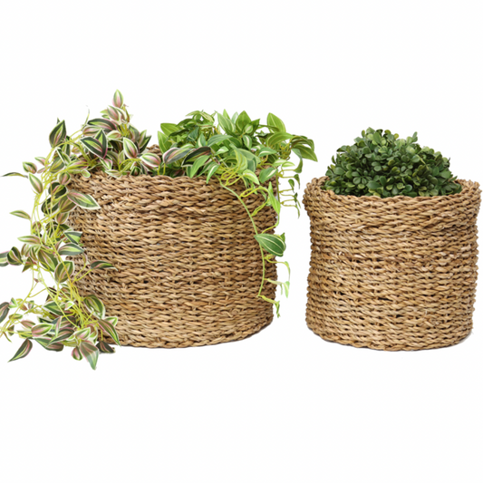 NESTED SEAGRASS WEAVE LIPPED BASKETS - Daisy Grace Lifestyle