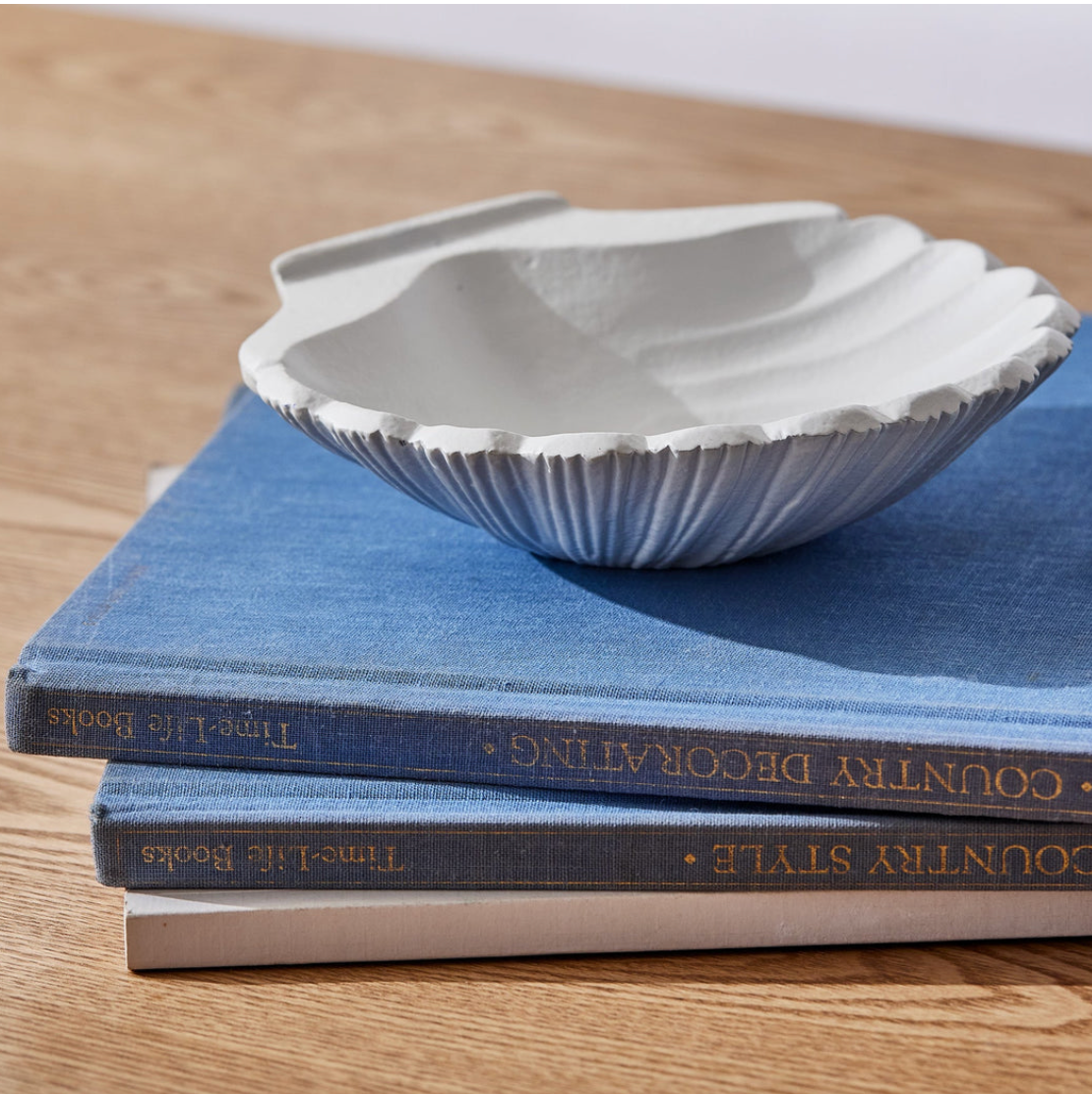 Scallop Shell Dish - Different Sizes - Daisy Grace Lifestyle