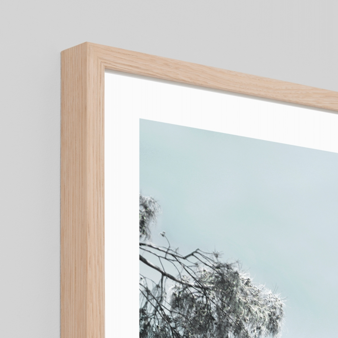 Shady Path Print - PRE ORDER - Daisy Grace Lifestyle