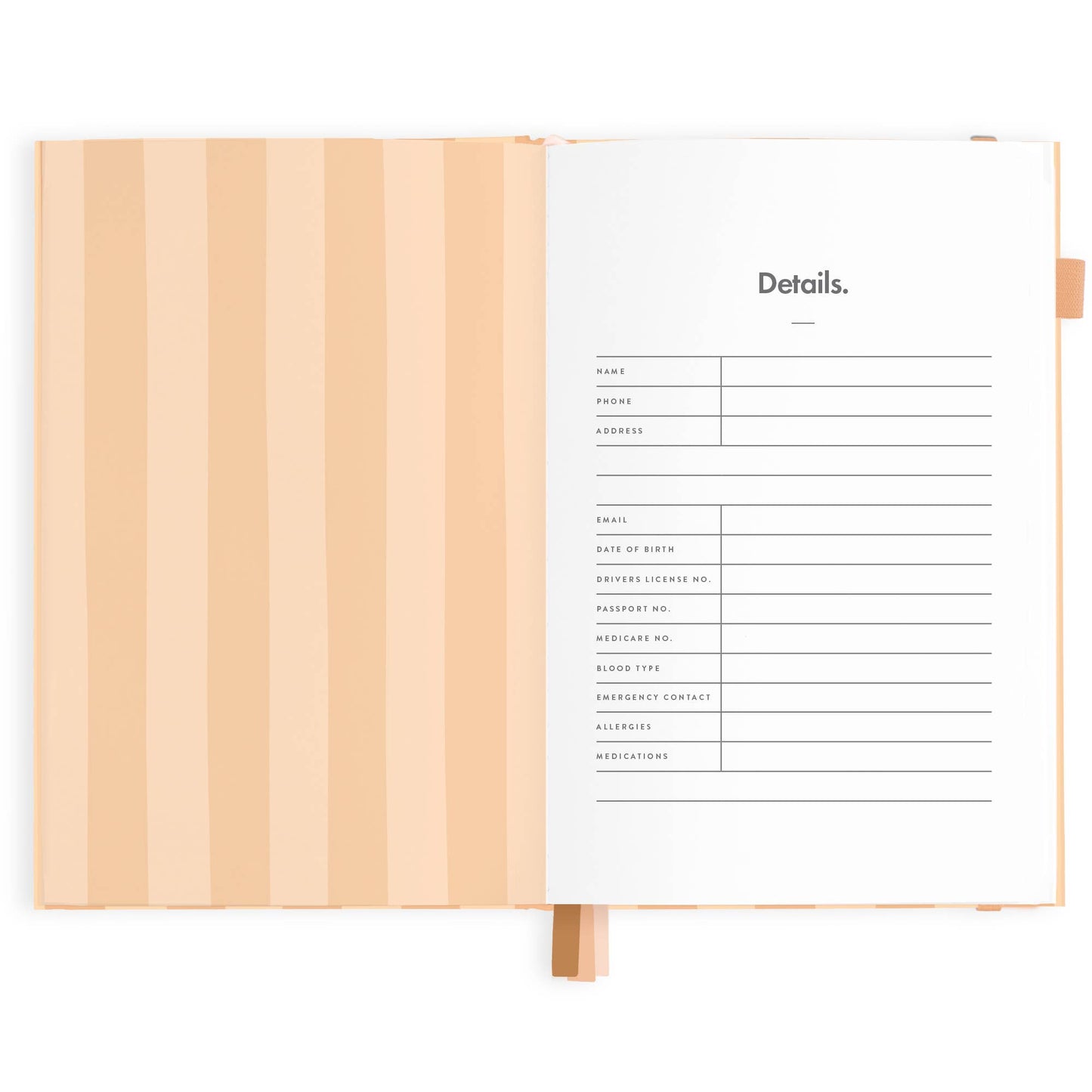 2025 Vertical Planner - Corsica Stripe