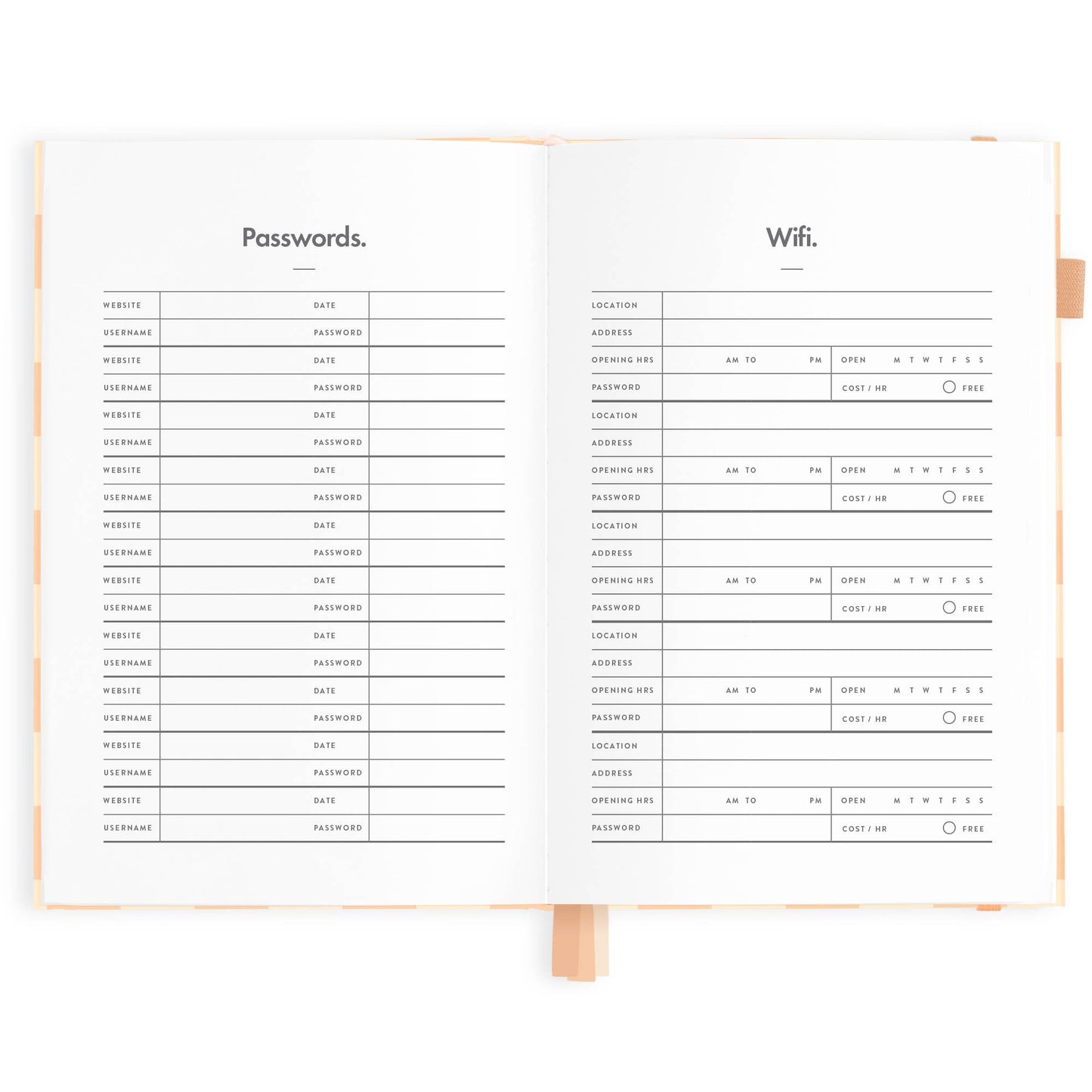 2025 Horizontal Planner - Salmon Check