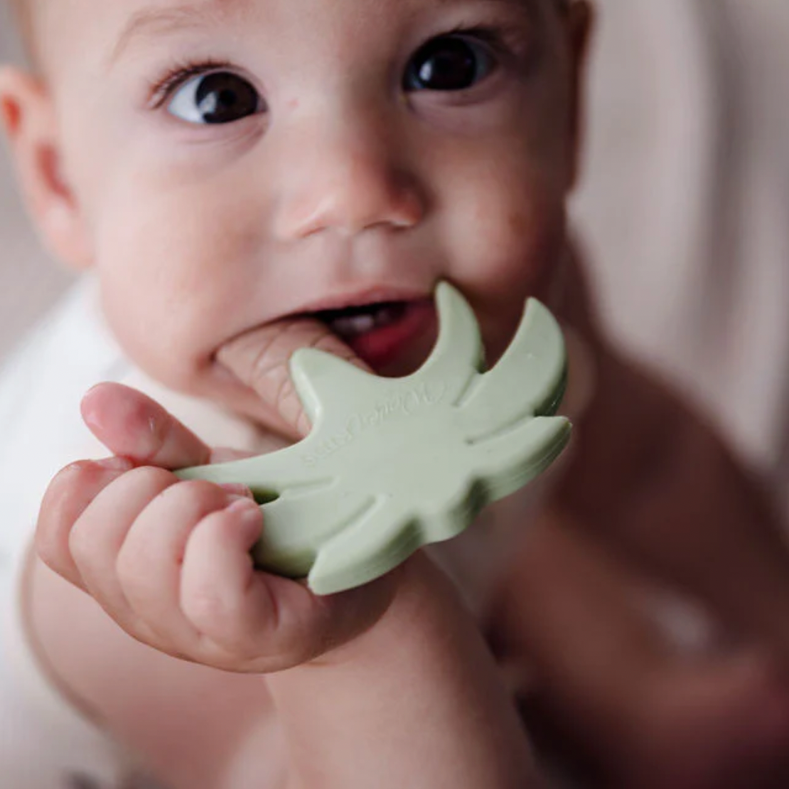 Silicone Teether - Sage Palm Tree