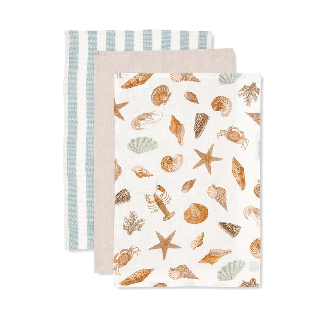 Shell Collection Tea Towel - Pack of 3m