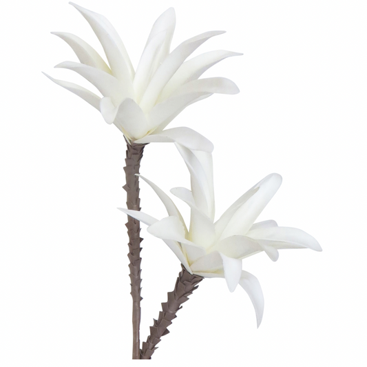 Blossom Breeze - White - 80x45