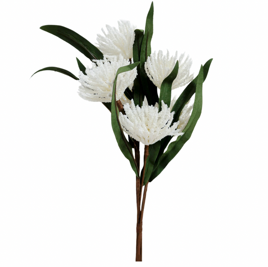Bristle Blossom - White - 42cm