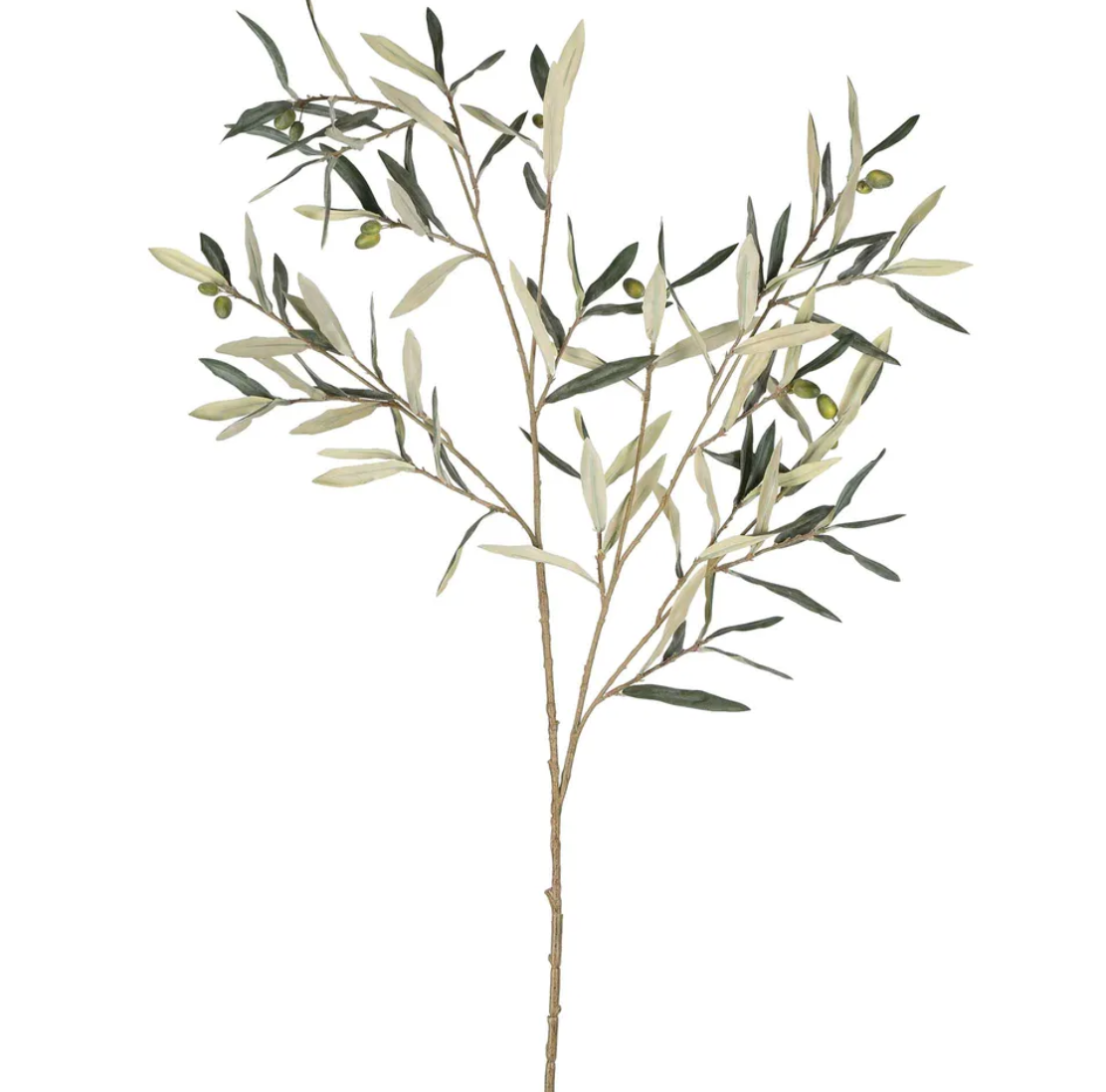 Olive Branch 94cm Green