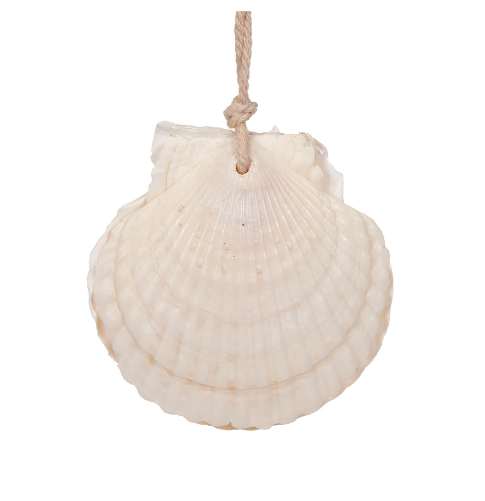 Hanging Clam Ornament