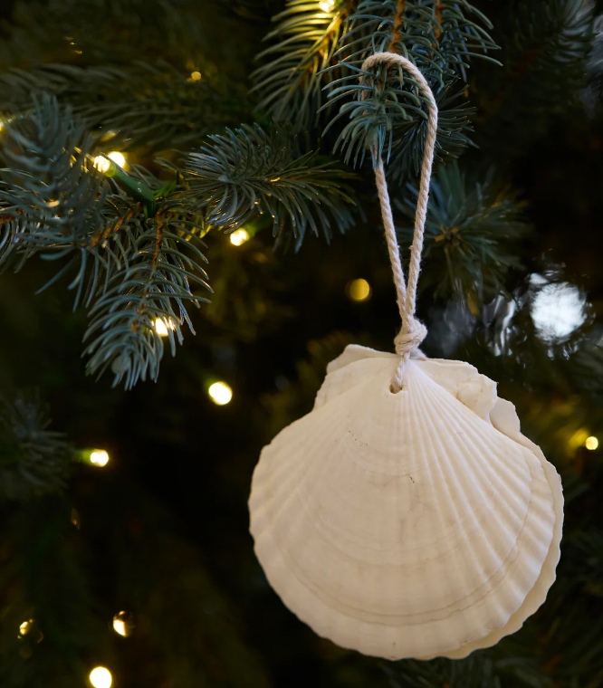 Hanging Clam Ornament