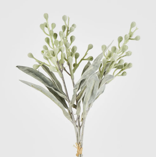 Wattle bundle - Green