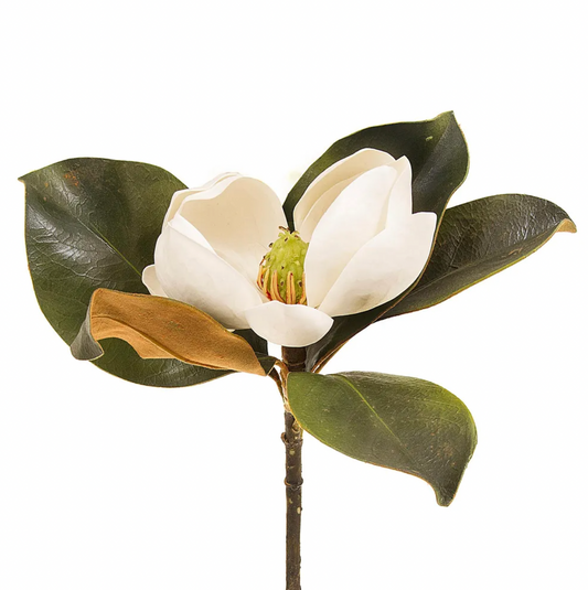 Magnolia Short Stem - 60cm - White