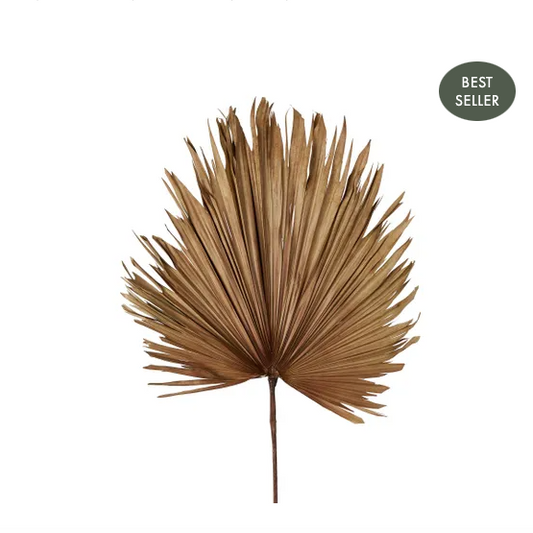 DRIED REAL PALM - BROWN - Daisy Grace Lifestyle