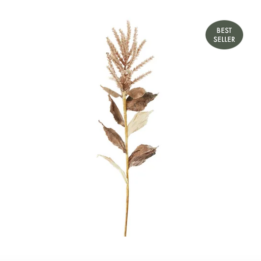 WHEAT WITH LEAVES 50CM STEM BROWN - Daisy Grace Lifestyle