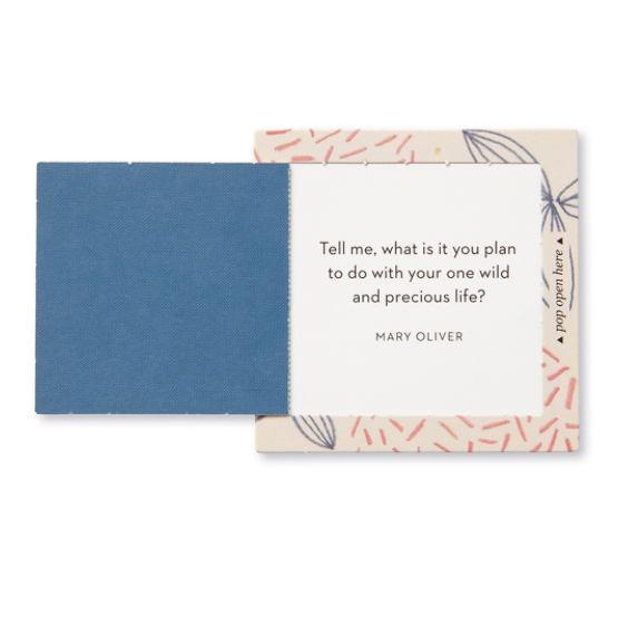 THOUGHTFULLS POP-OPEN CARDS – INSPIRE HER - Daisy Grace Lifestyle