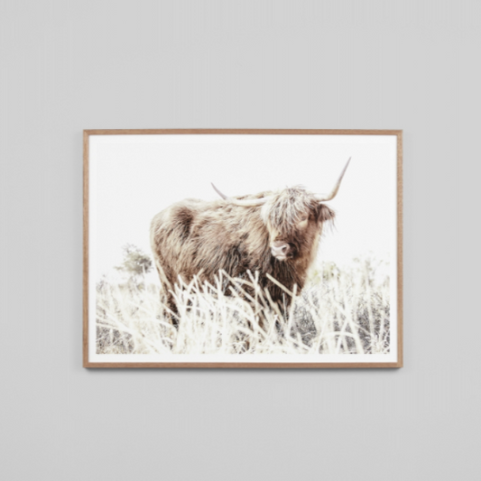 Afternoon Graze PRINT - PRE ORDER - Daisy Grace Lifestyle