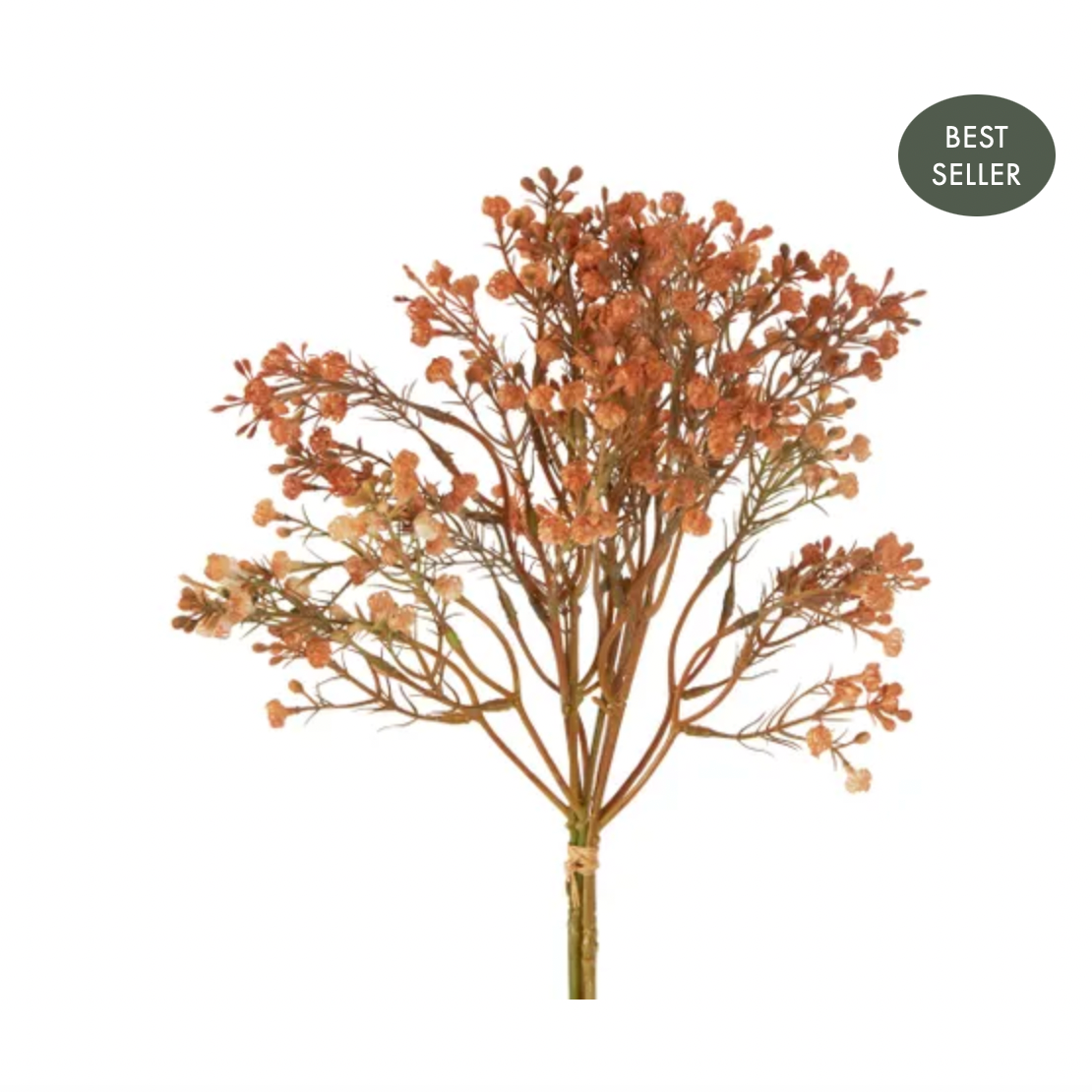 GYPSOPHILA BUNDLE APRICOT - Daisy Grace Lifestyle