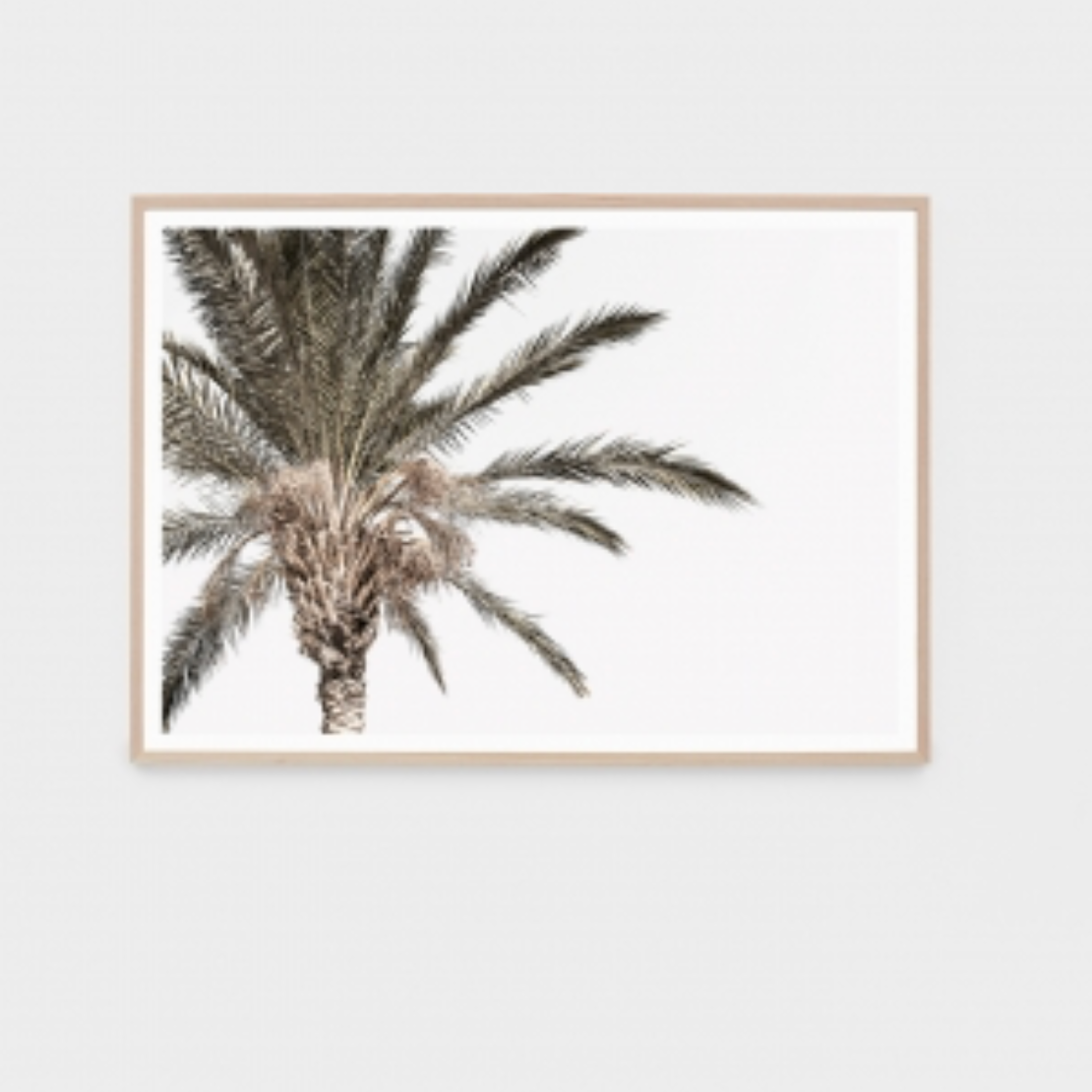 Rustic Palm Print - PRE ORDER - Daisy Grace Lifestyle