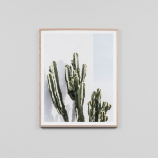 Cactus Resort Print - PRE ORDER - Daisy Grace Lifestyle