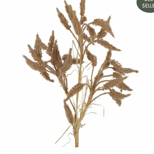 DRIED LOOK WHEAT GRASS STEM 63CM Brown - Daisy Grace Lifestyle