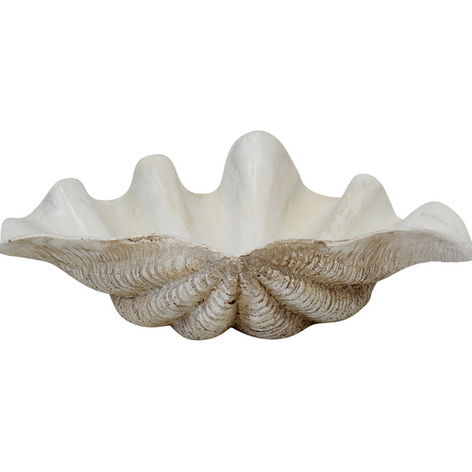Clam Shell - white Small - Daisy Grace Lifestyle