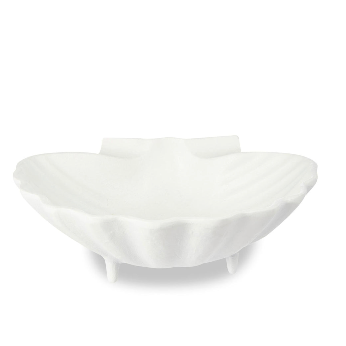 Scallop Shell Dish - Different Sizes - Daisy Grace Lifestyle