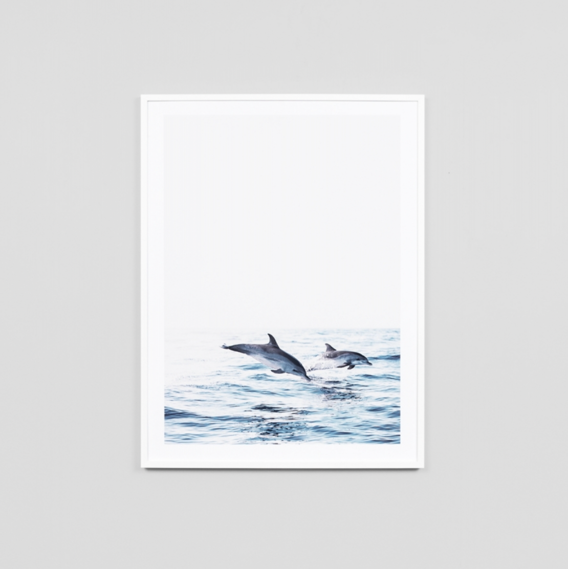 Atlantic Dolphin Print - PRE ORDER - Daisy Grace Lifestyle