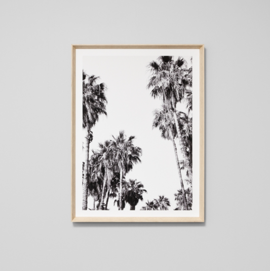 California Palms 1 Print - PRE ORDER - Daisy Grace Lifestyle