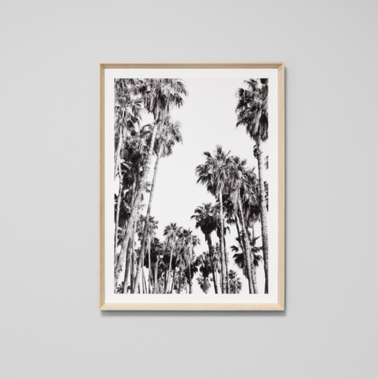 California Palms 2 Print - PRE ORDER - Daisy Grace Lifestyle