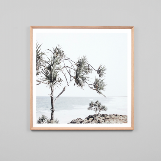 Coastal Yucca Print - PRE ORDER - Daisy Grace Lifestyle