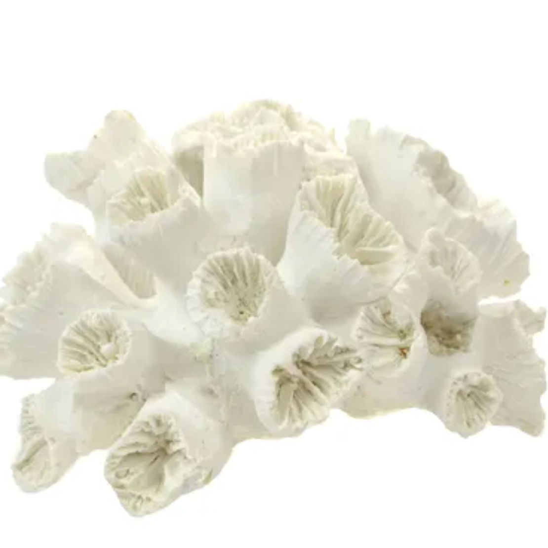 STONY CORAL RESIN SCULPTURE WHITE - Daisy Grace Lifestyle